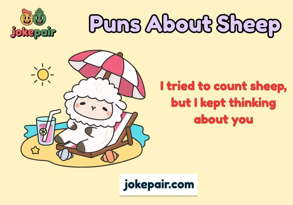 Puns About Sheep