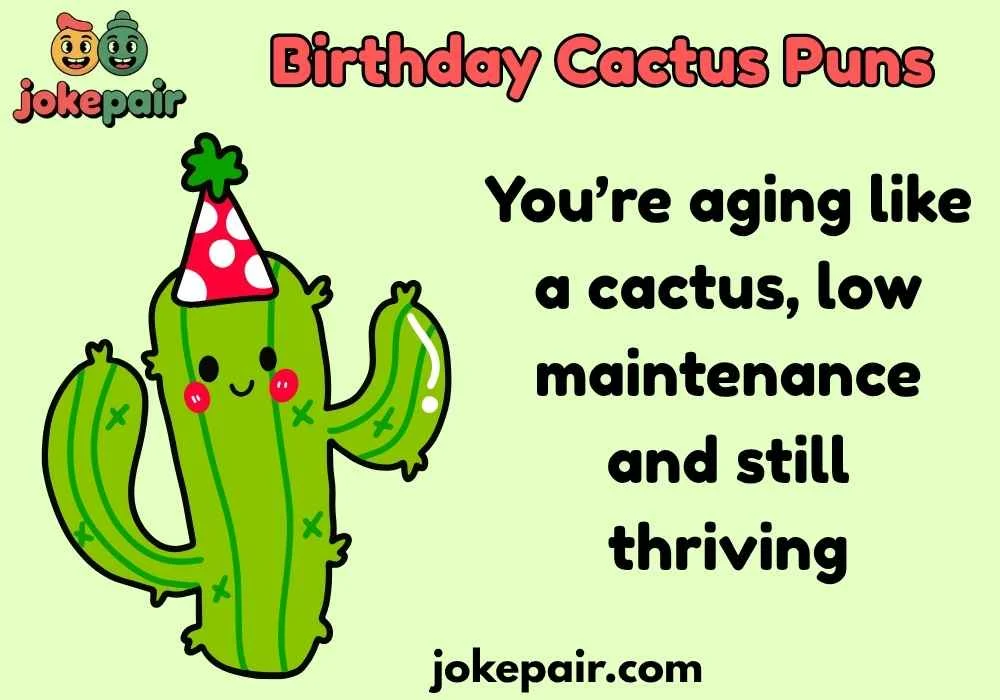 Classic Birthday Cactus Puns That Never Fail