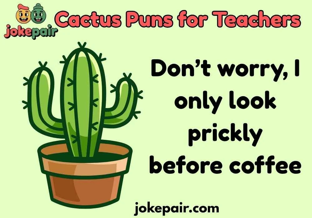 Classic Cactus Puns for Teachers That Never Fail