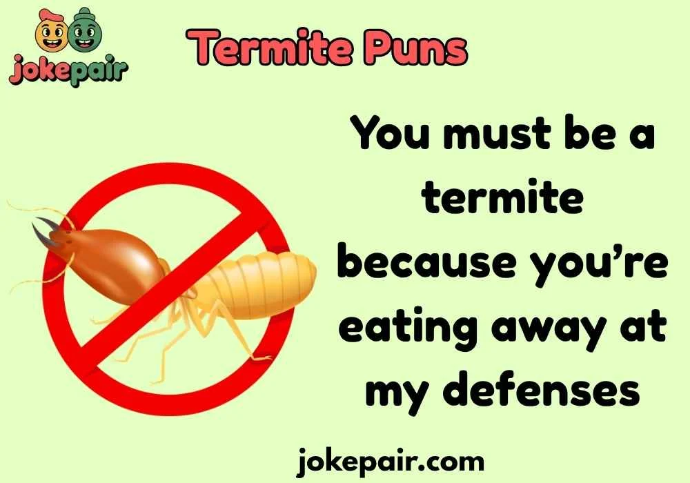 Classic Termite Puns That Never Fail