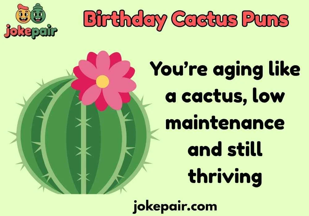 Cute Birthday Cactus Puns to Melt Hearts