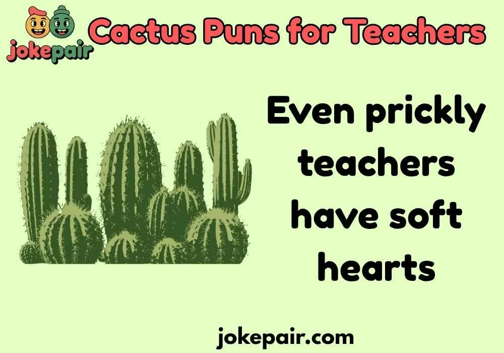 Cute Cactus Puns for Teachers to Melt Hearts