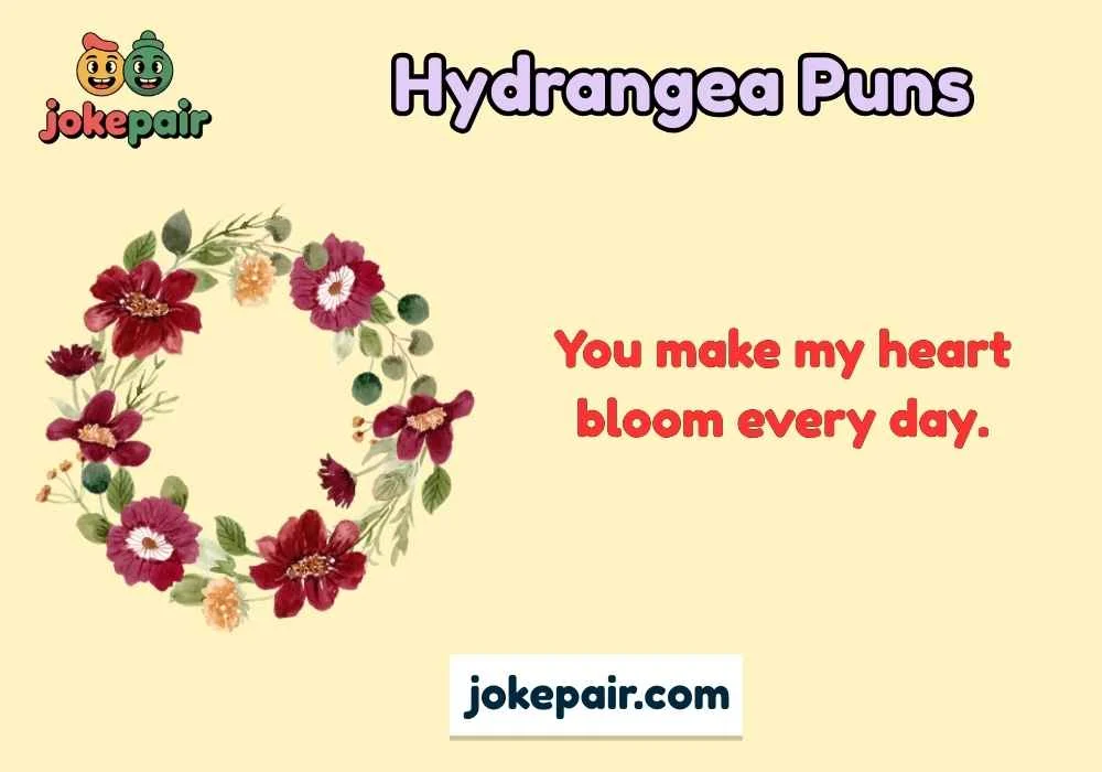 Hydrangea Puns