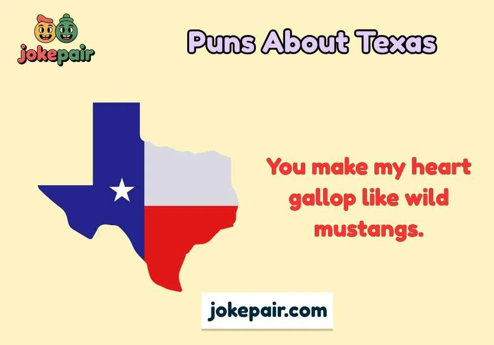 Puns About Texas