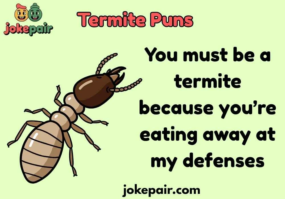 Termite Puns Inspired by Movies & TV Shows