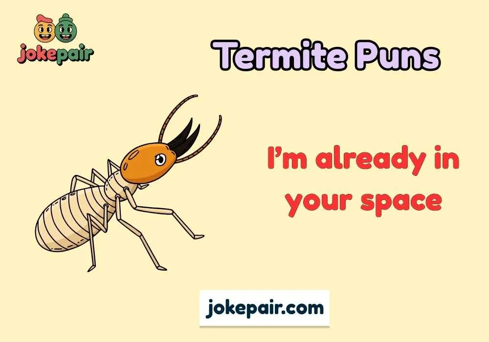 Termite Puns
