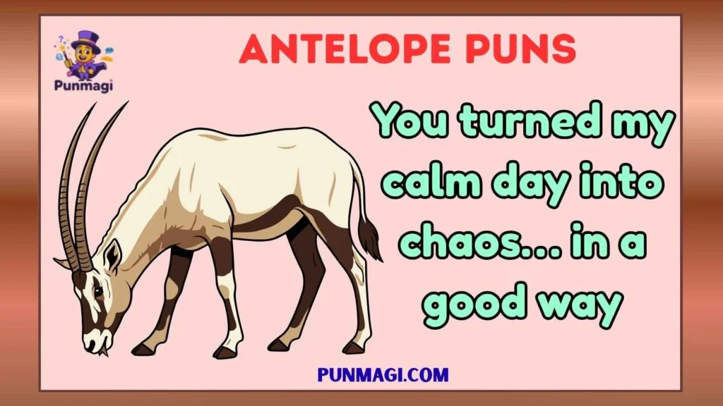 antelope puns
