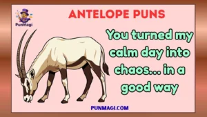 antelope puns