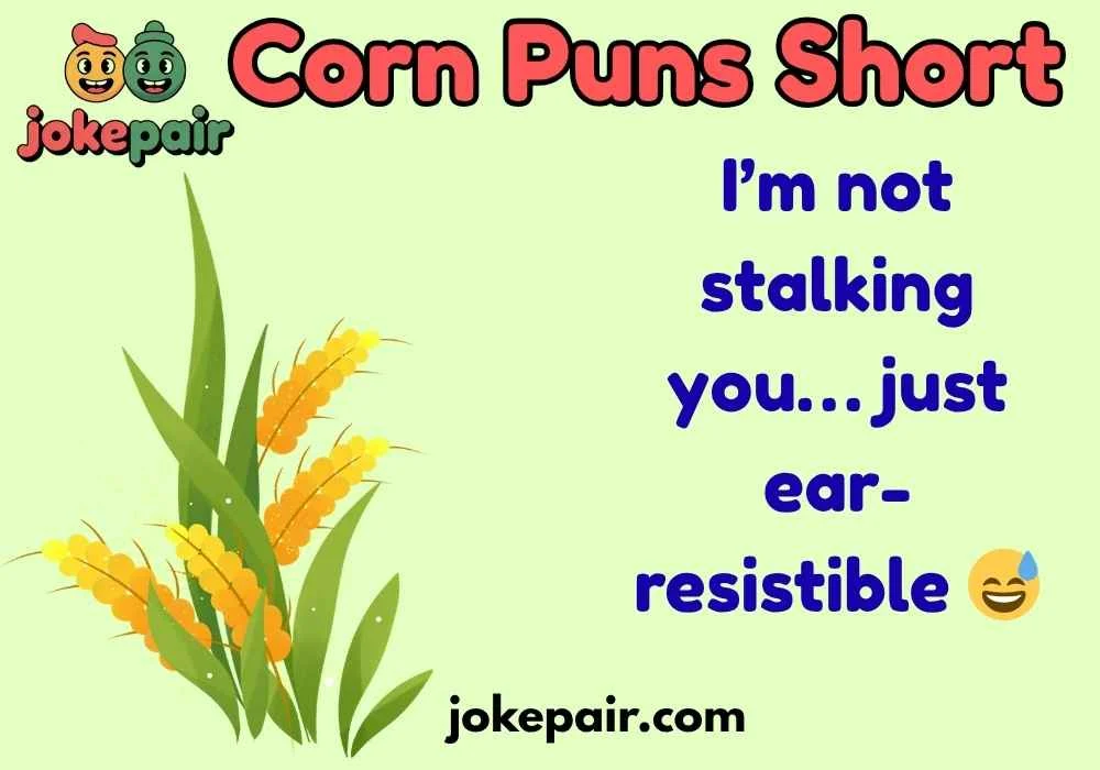 Corn Puns Short