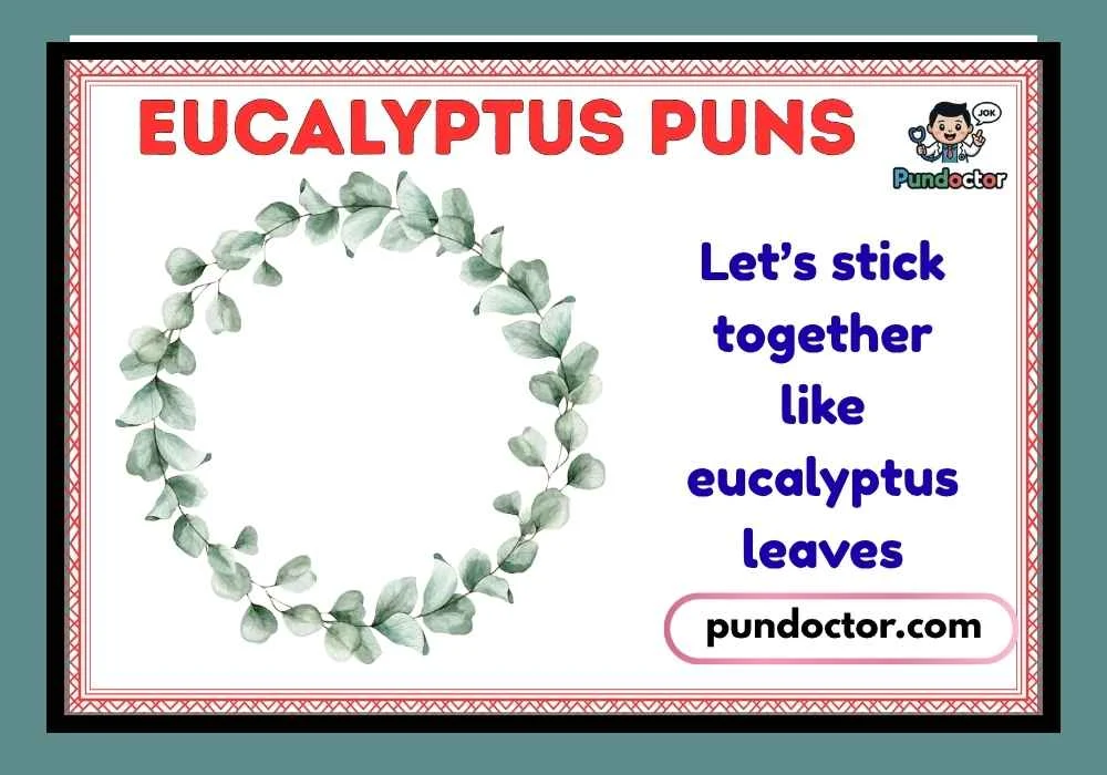Eucalyptus Puns