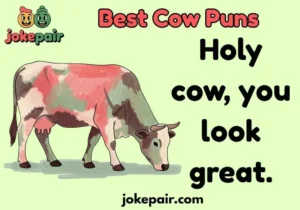 Best Cow Puns