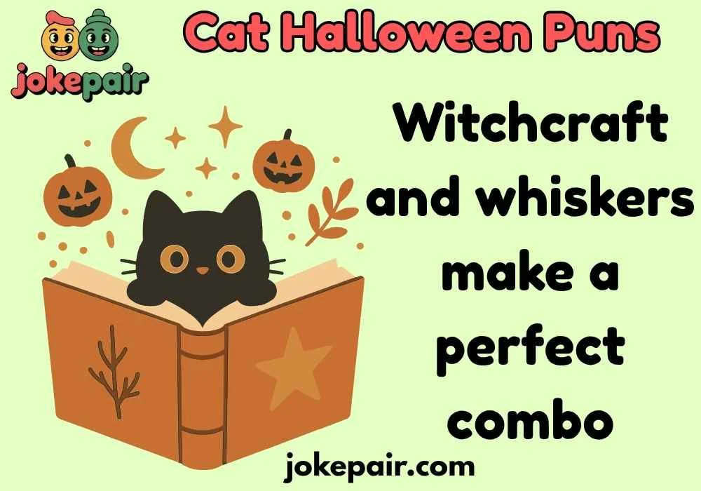 Cat Halloween Puns