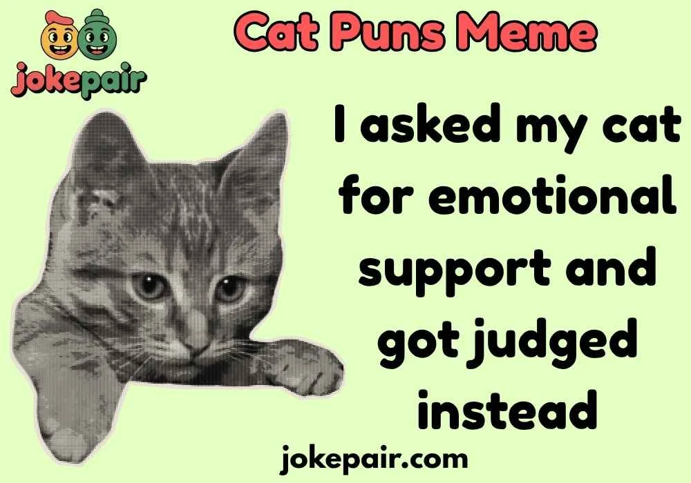 Cat Puns Meme