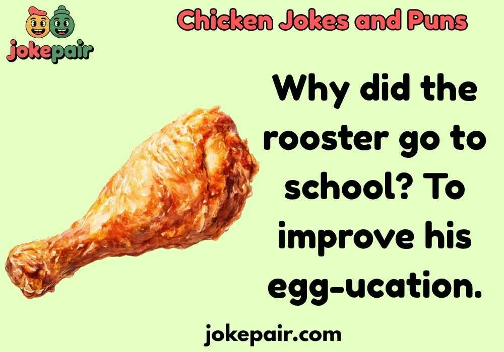 Chicken Jokes and Puns