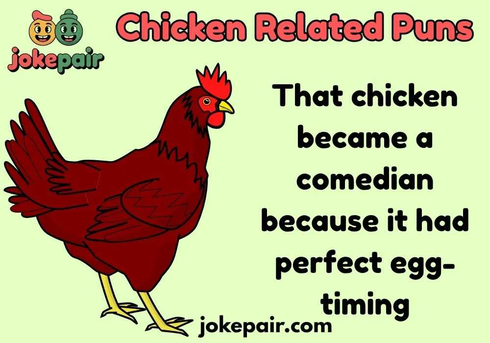 Chicken Related Puns