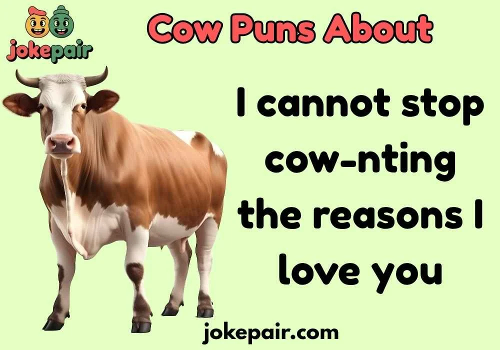 Cow Puns About