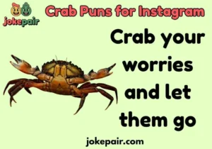 Crab Puns for Instagram
