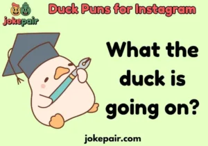 Duck Puns for Instagram