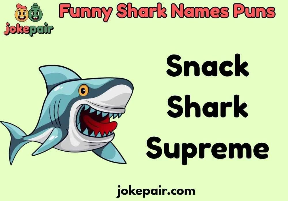 Funny Shark Names Puns