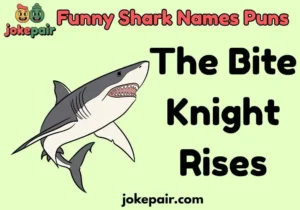 Funny Shark Names Puns