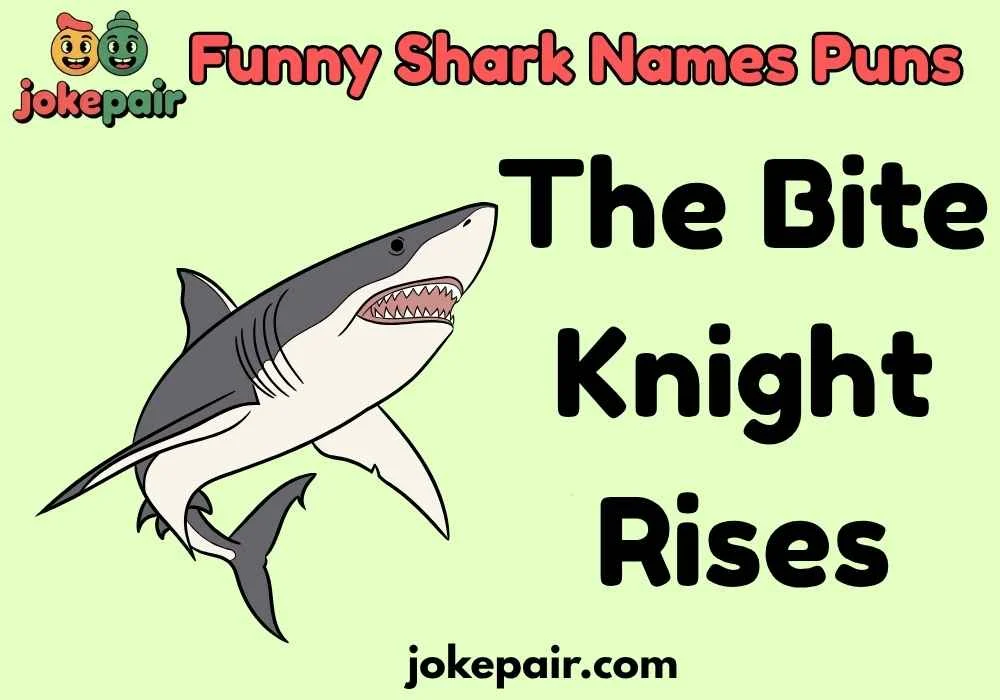 Funny Shark Names Puns
