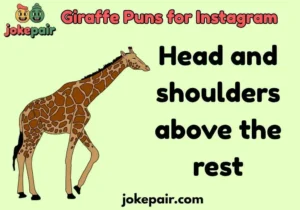 Giraffe Puns for Instagram