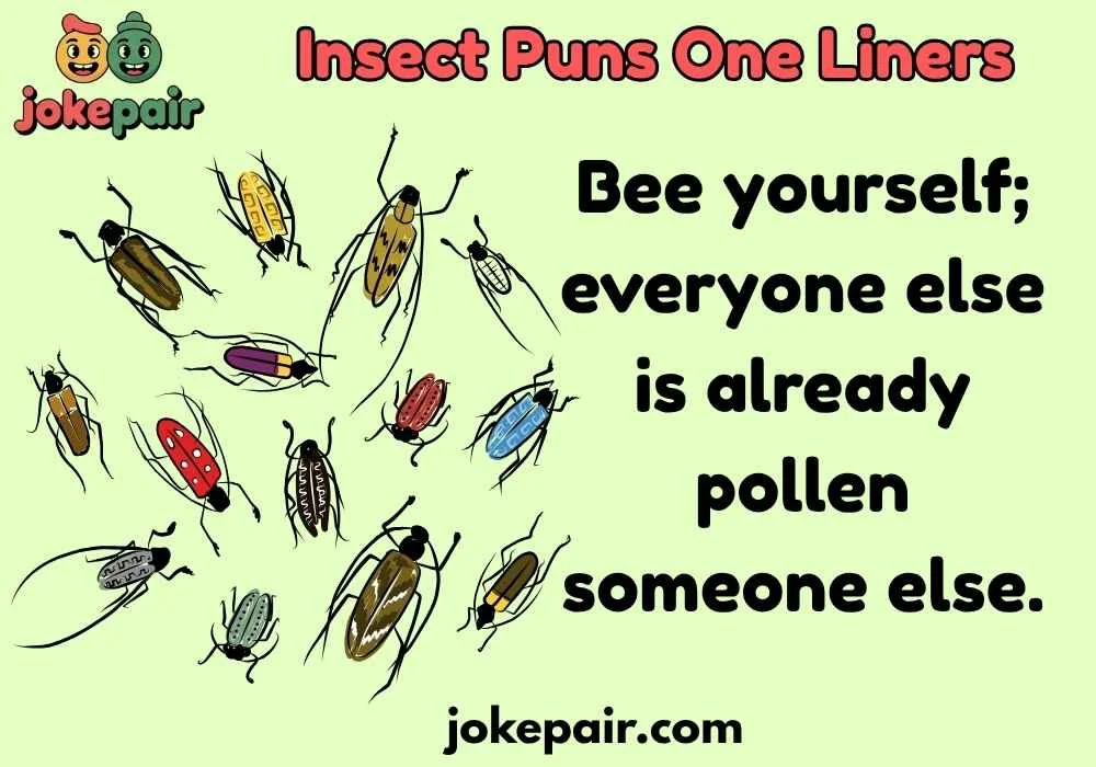 Insect Puns One Liners
