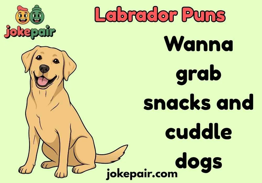Labrador Puns