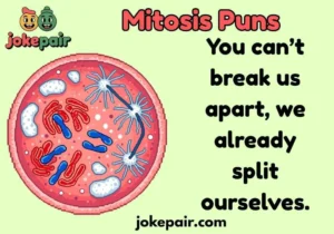 Mitosis Puns