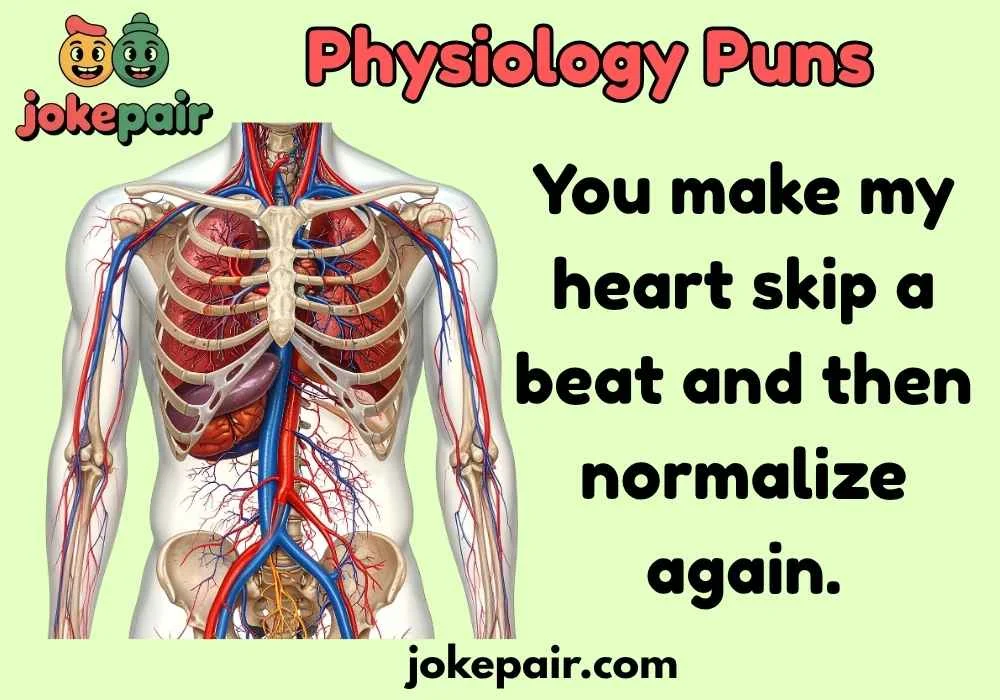 Physiology Puns