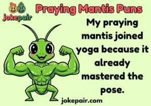 Praying Mantis Puns