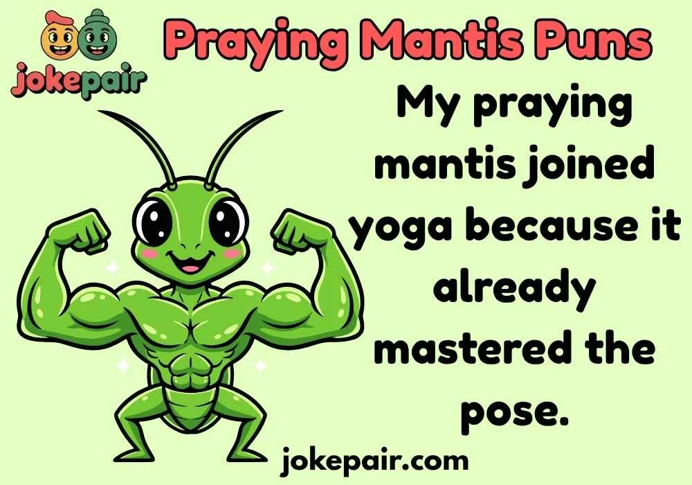 Praying Mantis Puns