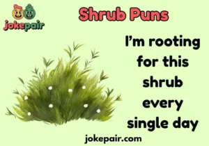 Shrub Puns
