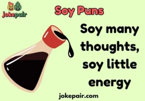 Soy Puns