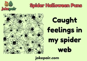 Spider Halloween Puns
