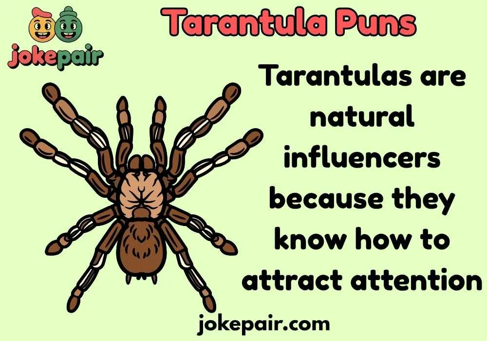 Tarantula Puns