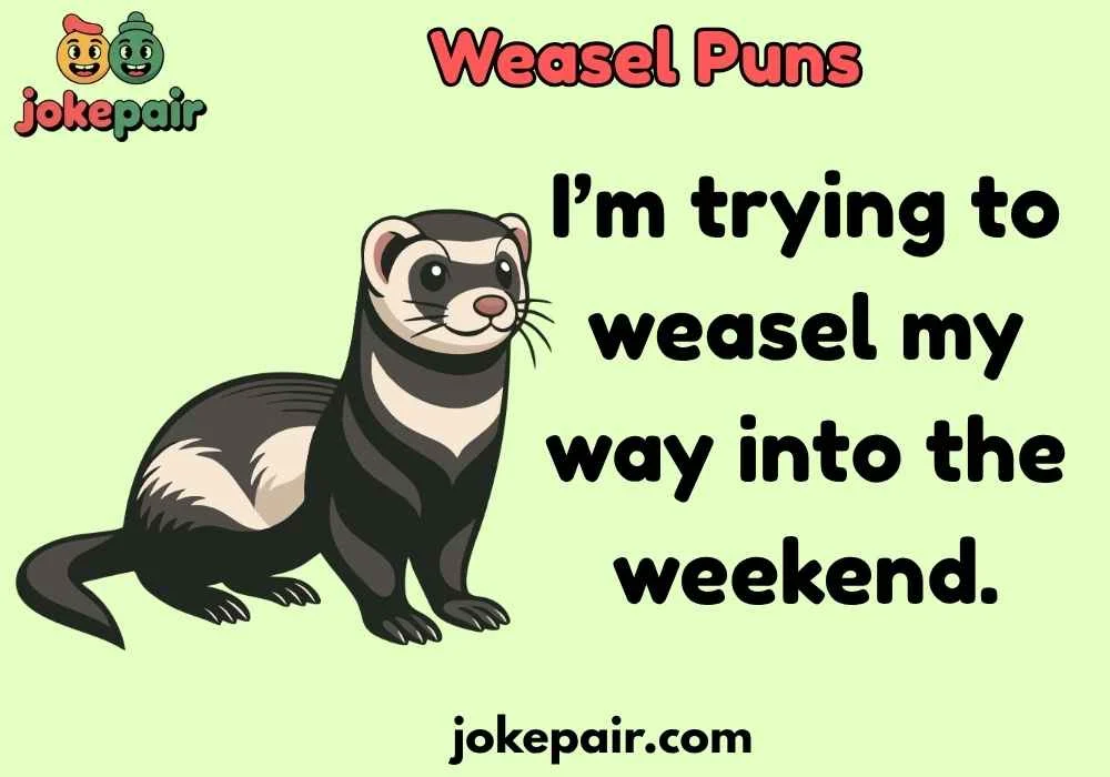 Weasel Puns