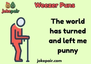 Weezer Puns