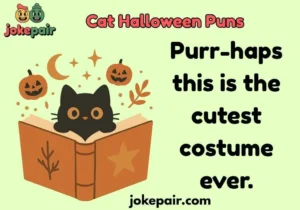 Cat Halloween Puns