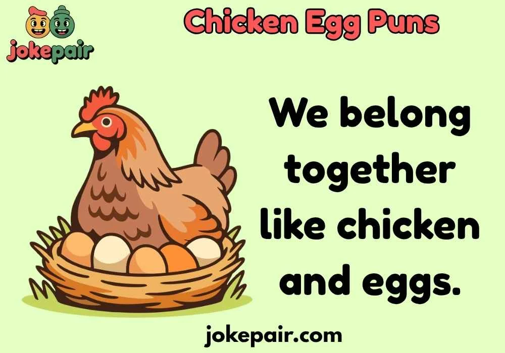 Chicken Egg Puns