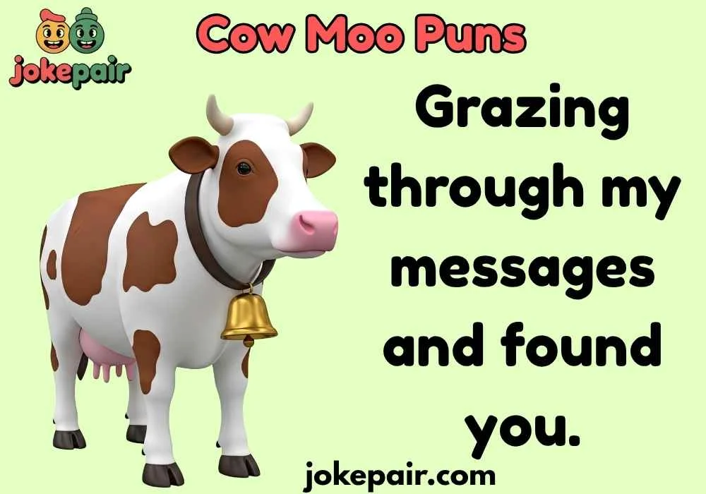 Cow Moo Puns