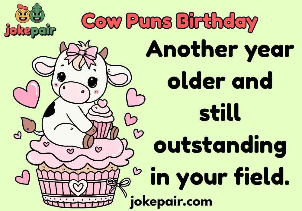 Cow Puns Birthday