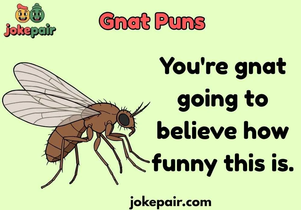 Gnat Puns