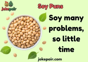 Soy Puns