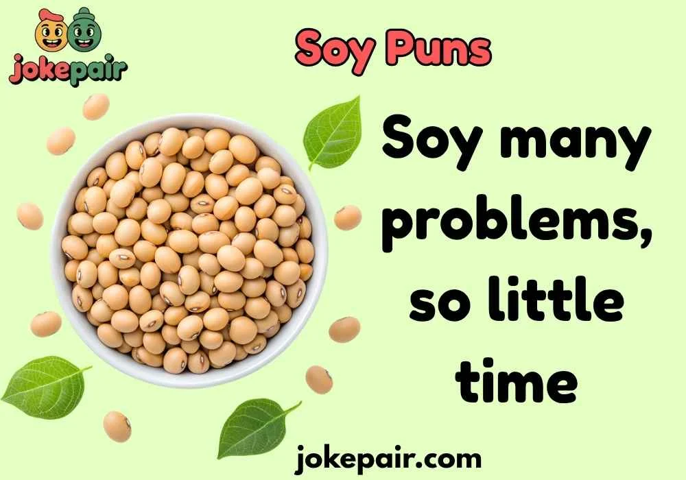 Soy Puns