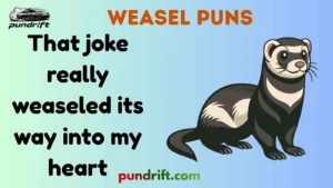 Weasel Puns